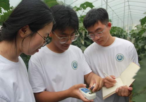 南京审计大学金审学院三下乡：贡献青年力量，致力乡村振兴